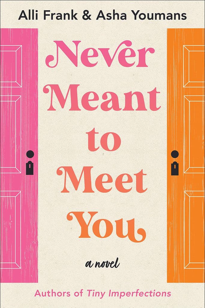 Never Meant to Meet You by Alli Frank and Asha Youmans