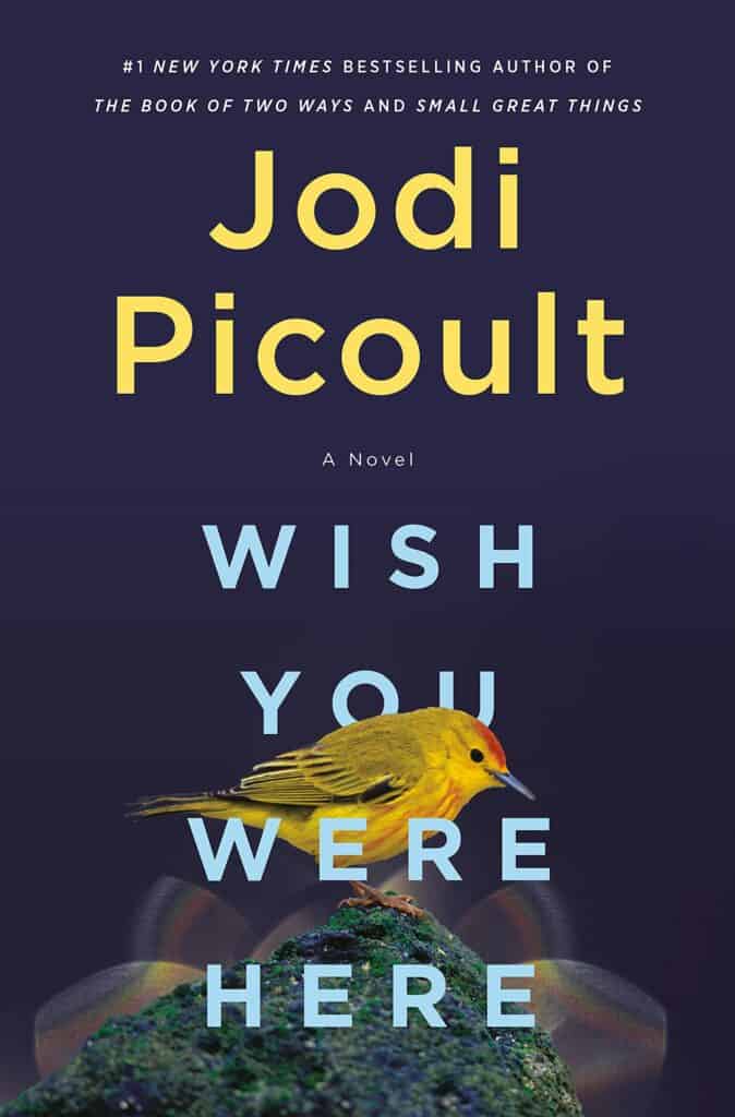 Wish You Were Here : A Novel Jodi Picoult