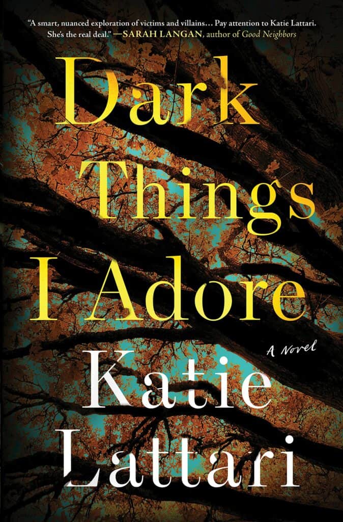 Dark Things I Adore : A Novel Katie Lattari