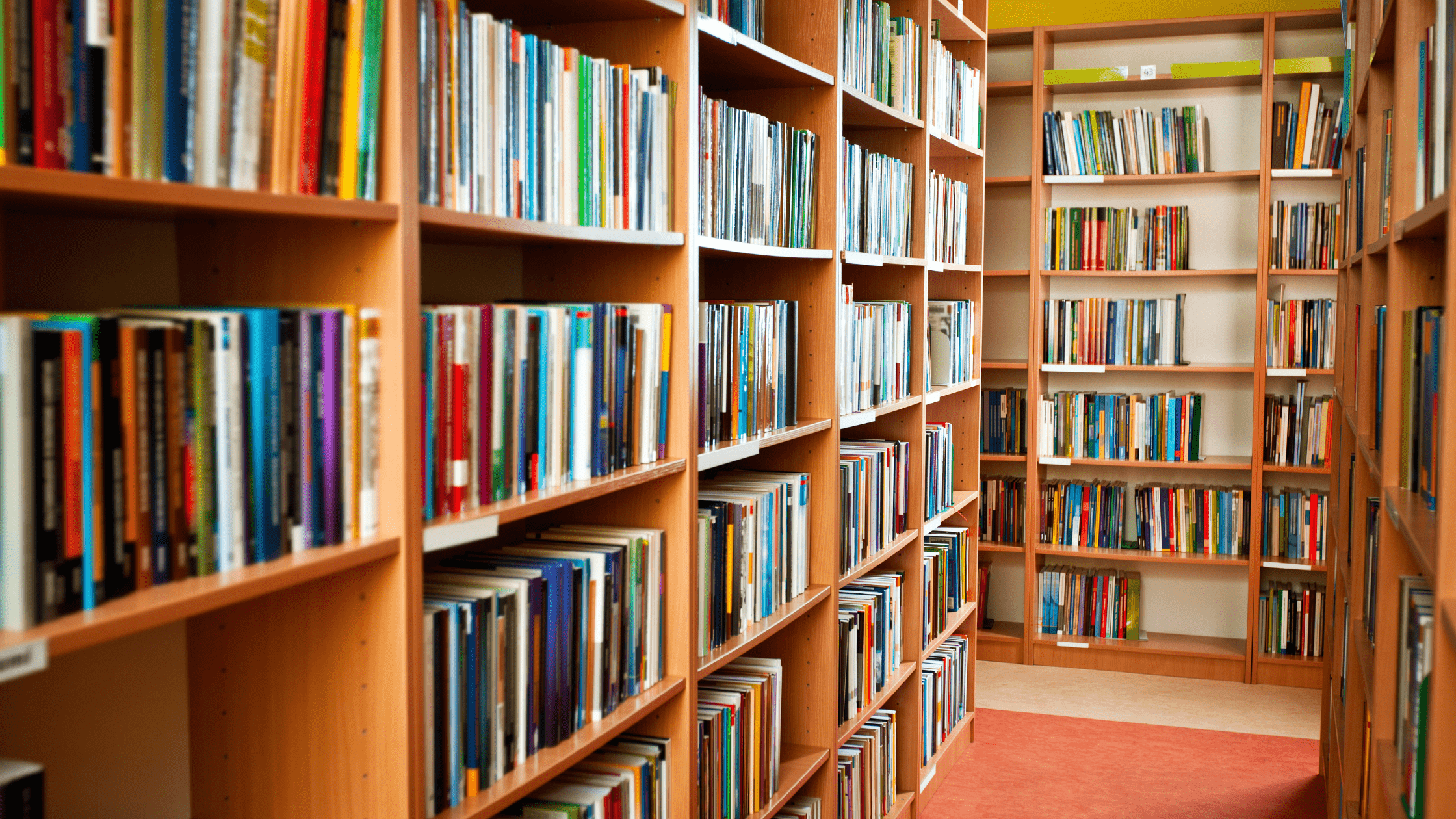 Importance of libraries - bookshelves