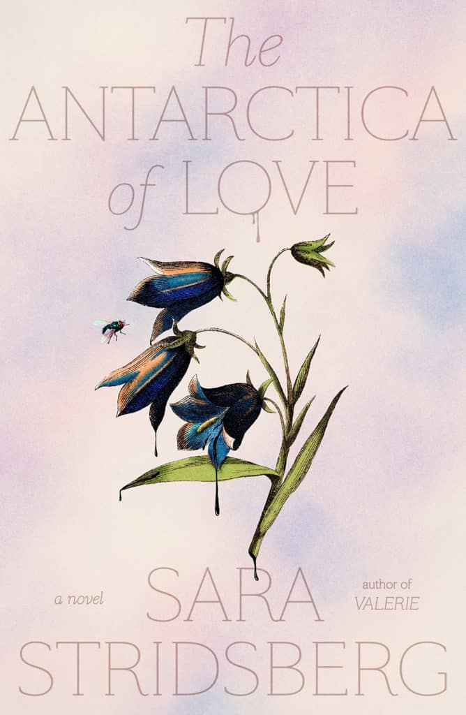 The Antarctica of Love by Sara Stridsberg, Translated by Deborah Bragan-Turner