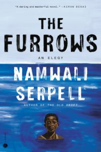 The Furrows by Namwali Serpell