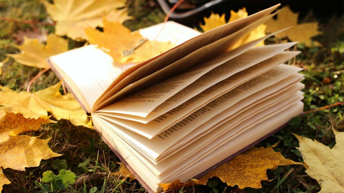 The 2024 Fall Reading Challenge