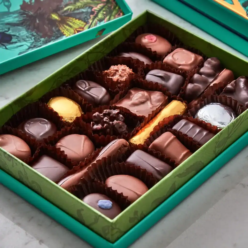 Milk & Dark Chocolate Selection Box