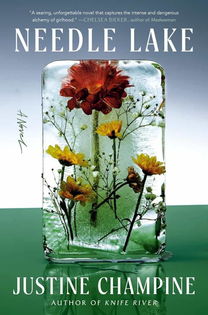 book cover of Needle Lake by Justine Champine