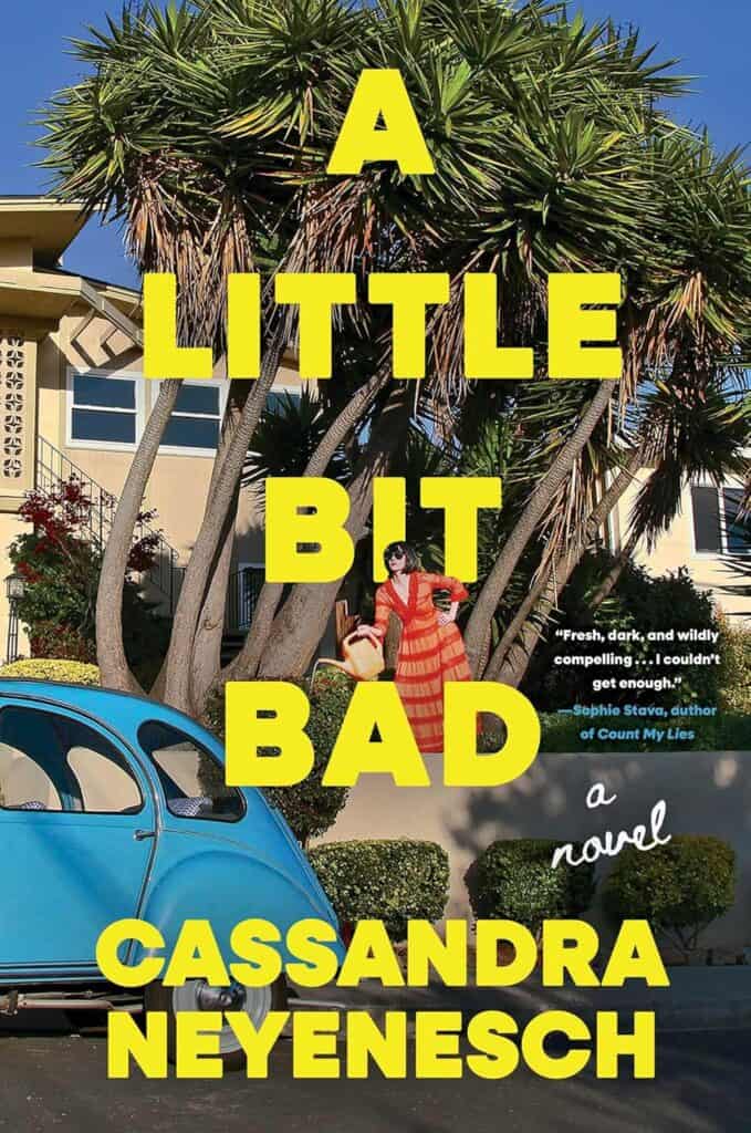 A Little Bit Bad by Cassandra Neyenesch book cover