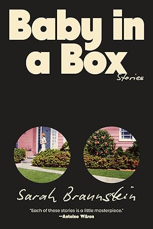 Baby in a Box by Sarah Braunstein