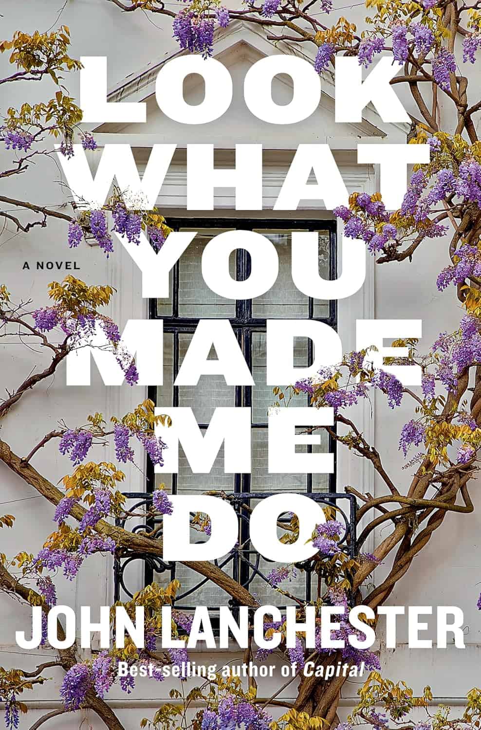 Look What You Made Me Do by John Lanchester book cover