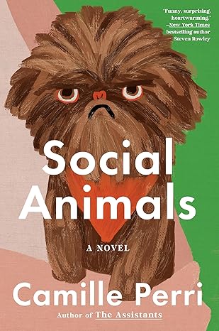 Social Animals by Camille Perri